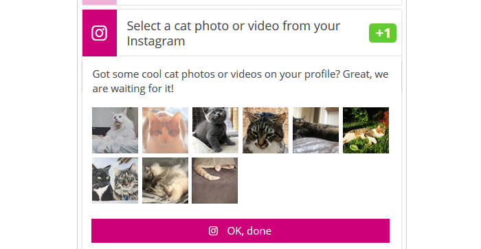 Select a photo or video from your Instagram