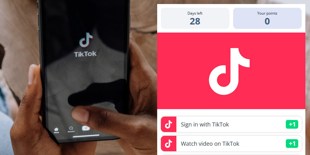 Socialman TikTok Entries