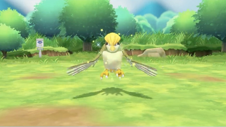 Giveaway Shiny Pidgeotto